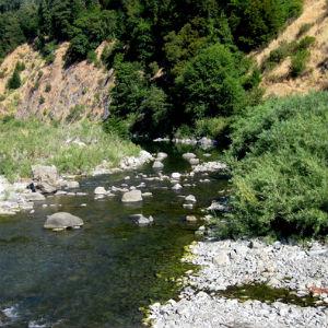Standish-Hickey State Recreation Area photo
