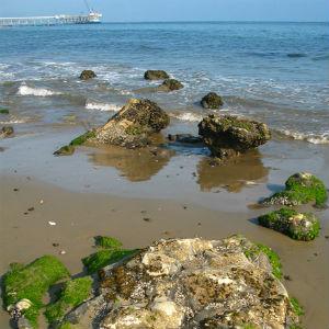 Carpinteria State Beach photo