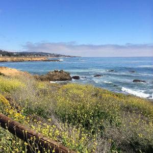 San Simeon State Park & Campground photo