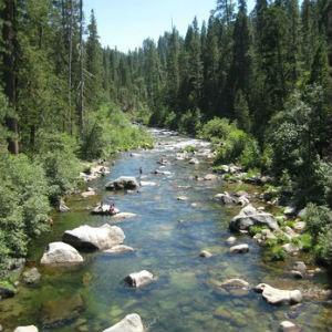 Calaveras Big Trees State Park photo