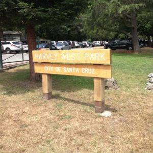 Harvey West Park photo