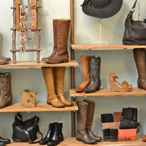 Shoefly and Sox photo