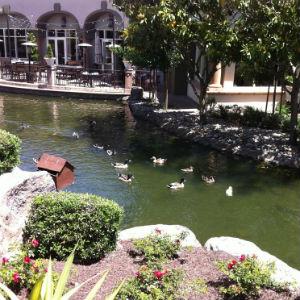 Blackhawk Plaza photo