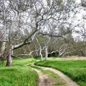 Sycamore Grove Park photo