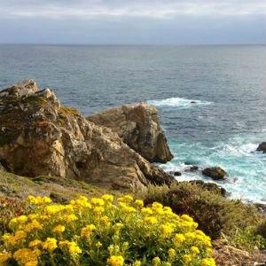 National Steinbeck Center photo