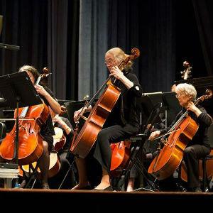 Symphony of the Redwoods photo