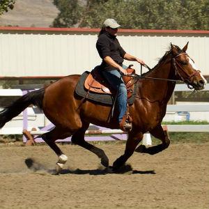 American Canyon Training Center photo