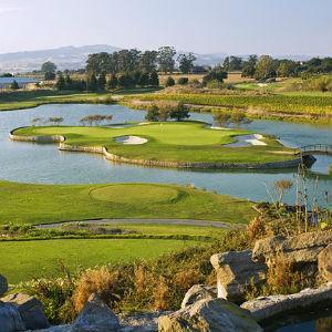 Eagle Vines Grill photo