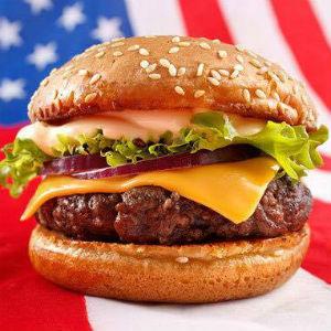 Old Village Grill photo