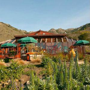 Ragged Point Restaurant photo