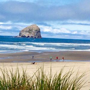 Bob Straub State Park photo