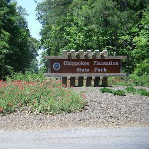 Chippokes Plantation State Park photo
