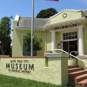 Santa Cruz Museum of Natural History  photo