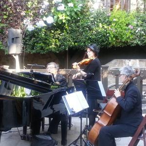 Wine Country Entertainment photo