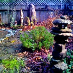 Sequoia Beach Dreamery photo