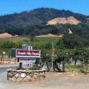 Alexander Valley Vineyards photo