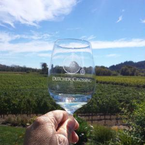 Dutcher Crossing Winery photo