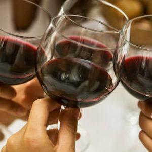 Estate 1856 Wines photo