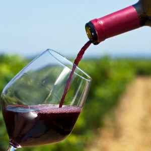 Fogline Vineyards photo