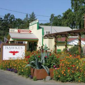 Hawkes Cellars - Healdsburg photo