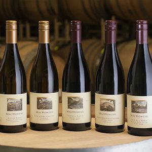 MacRostie Winery & Vineyards photo