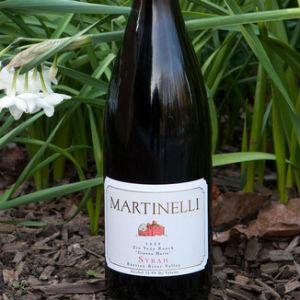 Martinelli Vineyards photo