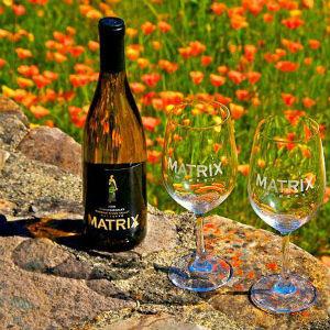 Matrix Winery photo