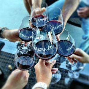 Mazzocco Vineyards photo