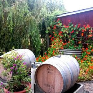 Moondance Cellars photo
