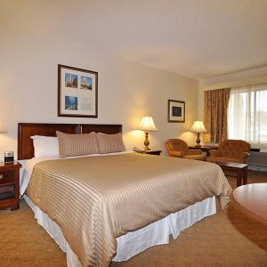 Best Western Plus Big America photo