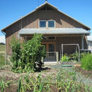 Saltonstall Estate Olive Oil & Wines photo