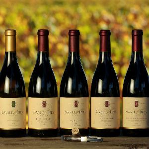 Small Vines Viticulture photo