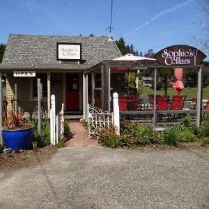 Sophie's Cellars Wine Tasting photo