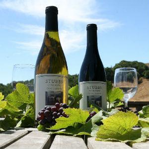 Stubbs Vineyard photo