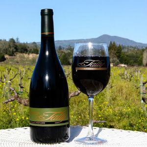 Talty Vineyards photo