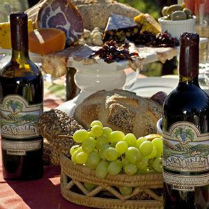 Tara Bella Winery & Vineyards photo