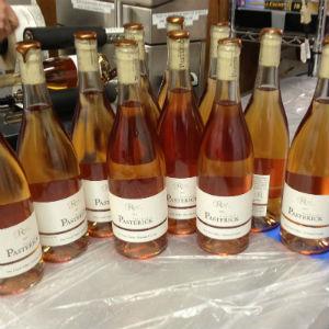 Vineyard of Pasterick photo