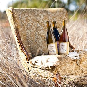 Wind Gap Wines photo