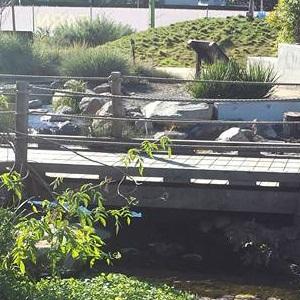 Children's Museum of Sonoma County photo