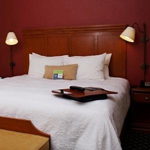 Hampton Inn & Suites - Windsor photo