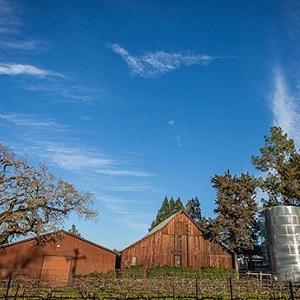 Rochioli Vineyards and Winery photo