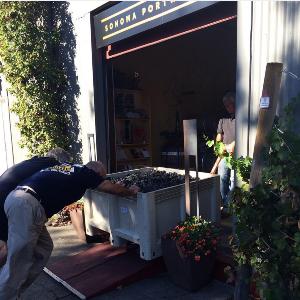 Sonoma Portworks photo