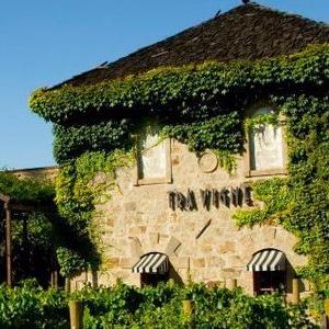 Tra Vigne Pizzeria photo