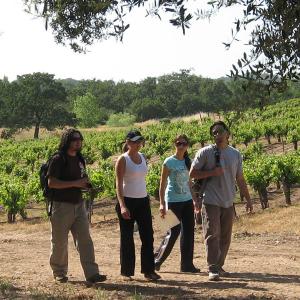 Wine Country Trekking photo