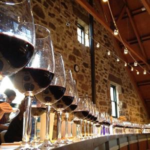 Wine & Dine Tours photo