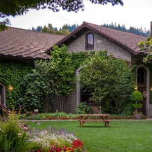 Dry Creek Vineyard photo