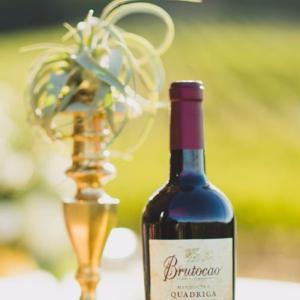 Brutocao Cellars photo