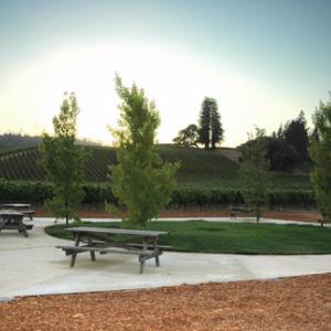 Goldeneye Winery photo