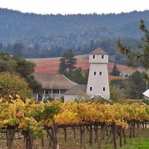 Handley Cellars photo