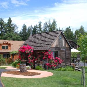 Husch Vineyards photo